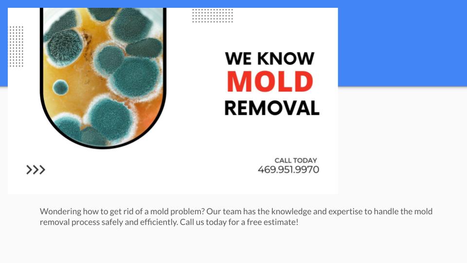 Mold Remediation Dallas