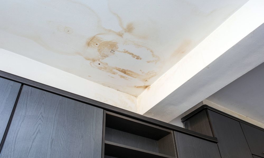 4 Easy Tips To Help Prevent Mold in Your Home