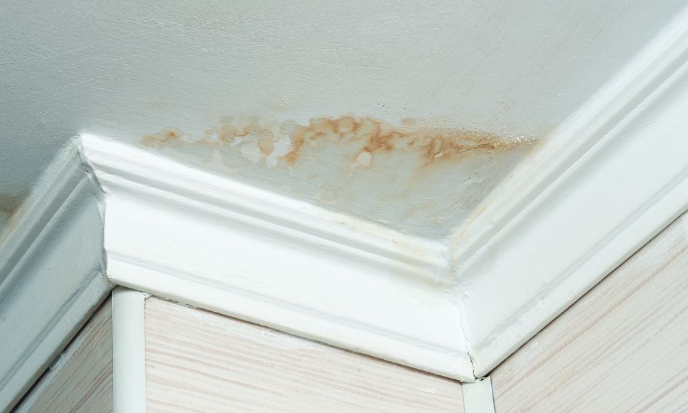 5 Common Signs of Hidden Water Damage in Walls
