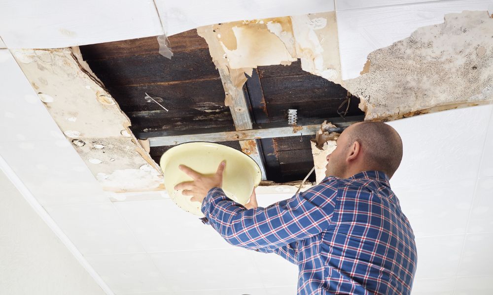 6 Things To Do When Your Roof Starts Leaking